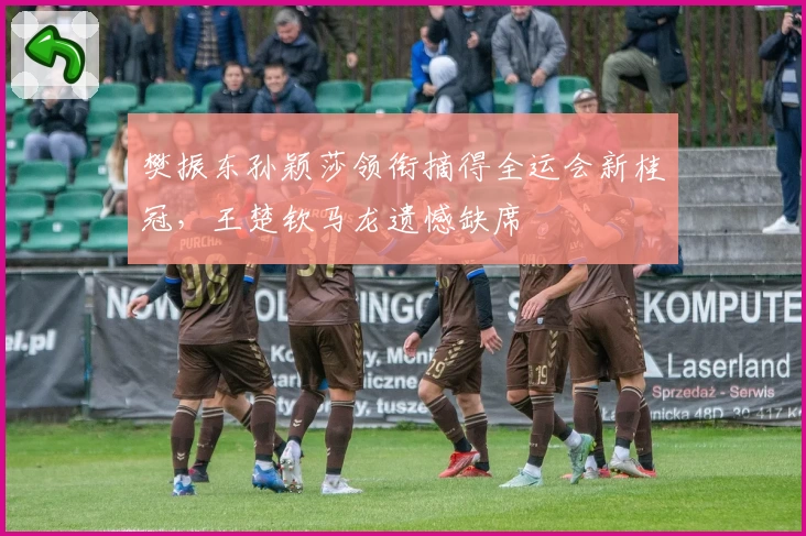 樊振东孙颖莎领衔摘得全运会新桂冠，王楚钦马龙遗憾缺席