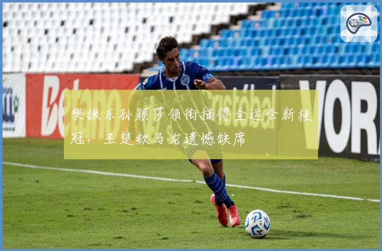 樊振东孙颖莎领衔摘得全运会新桂冠，王楚钦马龙遗憾缺席